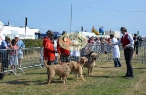 1771331159_1771331159_dunster-c-fair036