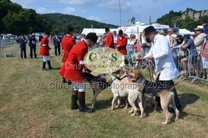 1771331167_1771331167_dunster-c-fair042