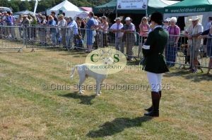 1771331172_1771331172_dunster-c-fair046