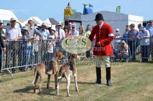 1771331173_1771331173_dunster-c-fair047