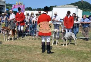 1771331177_1771331177_dunster-c-fair050