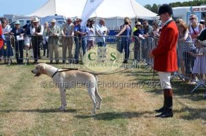 1771331190_1771331190_dunster-c-fair060