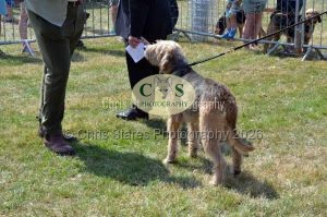 1771331200_1771331200_dunster-c-fair067