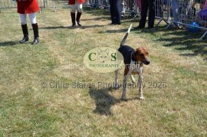 1771331206_1771331206_dunster-c-fair072