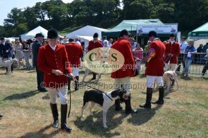1771331211_1771331211_dunster-c-fair076