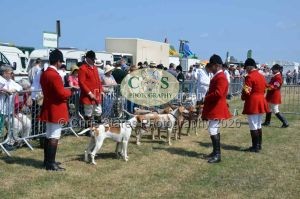 1771331217_1771331217_dunster-c-fair080