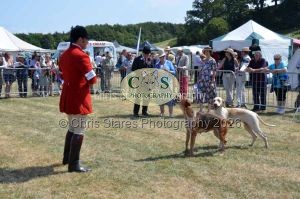 1771331218_1771331218_dunster-c-fair081