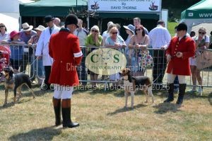 1771331232_1771331232_dunster-c-fair092