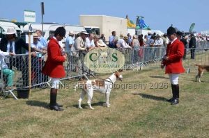 1771331234_1771331234_dunster-c-fair093