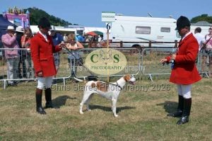 1771331241_1771331241_dunster-c-fair098