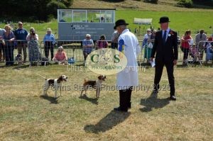 1771331255_1771331255_dunster-c-fair107