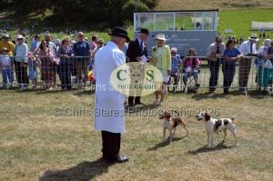 1771331257_1771331257_dunster-c-fair108