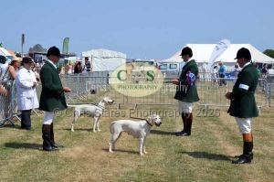 1771331259_1771331259_dunster-c-fair109