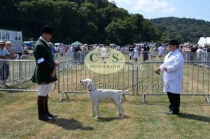 1771331260_1771331260_dunster-c-fair110