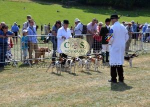 1771331268_1771331268_dunster-c-fair116