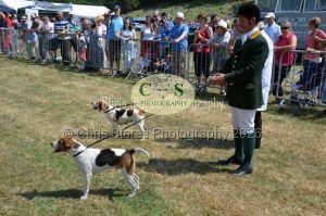 1771331272_1771331272_dunster-c-fair119