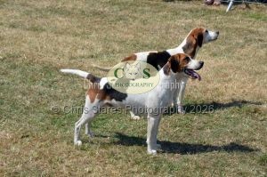 1771331274_1771331274_dunster-c-fair121