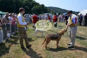 1771331279_1771331279_dunster-c-fair124