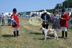 1771331286_1771331286_dunster-c-fair129