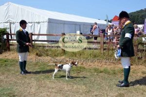 1771331288_1771331288_dunster-c-fair131