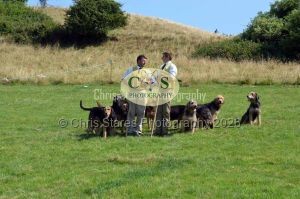 1771331298_1771331298_dunster-c-fair138