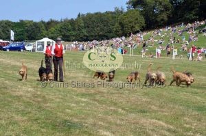 1771331307_1771331307_dunster-c-fair144