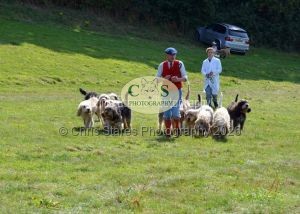 1771331309_1771331309_dunster-c-fair145