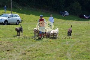 1771331310_1771331310_dunster-c-fair146