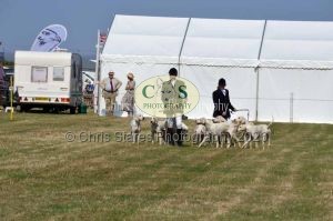 1771331312_1771331312_dunster-c-fair148