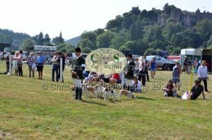 1771331318_1771331318_dunster-c-fair152