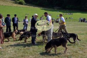 1771331322_1771331322_dunster-c-fair155