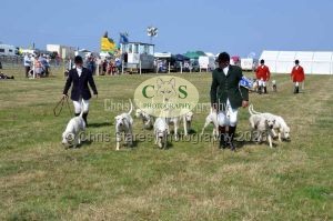 1771331334_1771331334_dunster-c-fair163