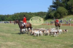 1771331342_1771331342_dunster-c-fair168