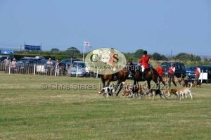 1771331353_1771331353_dunster-c-fair175