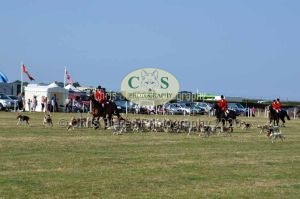 1771331357_1771331357_dunster-c-fair178