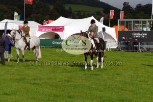 1771331460_1771331460_p1710655