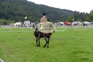 1771331464_1771331464_p1710659