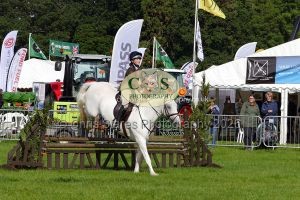 1771331476_1771331476_p1710675