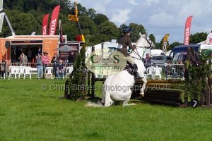 1771331479_1771331479_p1710681