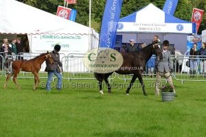 1771331481_1771331481_p1710684