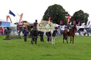 1771331487_1771331487_p1710690c