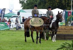 1771331490_1771331490_p1710693c