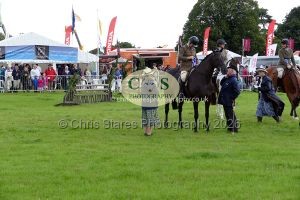 1771331494_1771331494_p1710697