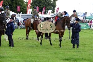 1771331495_1771331495_p1710698