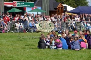 1771331502_1771331502_p1710723