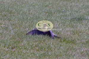 1771331505_1771331505_p1710731