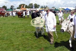 1771331512_1771331512_p1710743