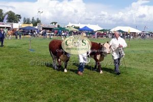 1771331517_1771331517_p1710747