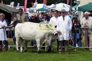 1771331520_1771331520_p1710749