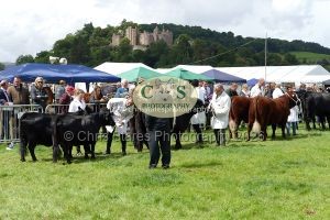 1771331524_1771331524_p1710753